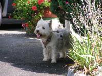 Klik op de foto voor groter formaat